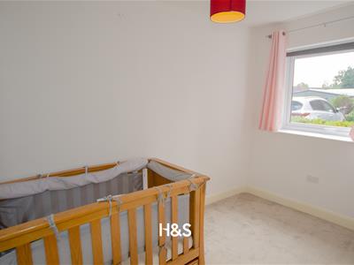 Picture 7